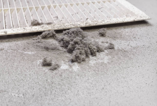 Best Ductwork Cleaning Services  in Eufaula, AL