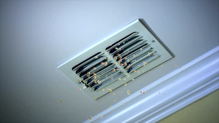 Best HVAC System Cleaning  in Eufaula, AL